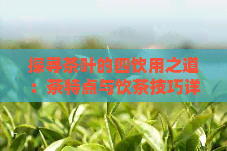 探寻茶叶的四饮用之道：茶特点与饮茶技巧详解