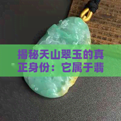 揭秘天山翠玉的真正身份：它属于翡翠吗？产自新疆还是内蒙古？