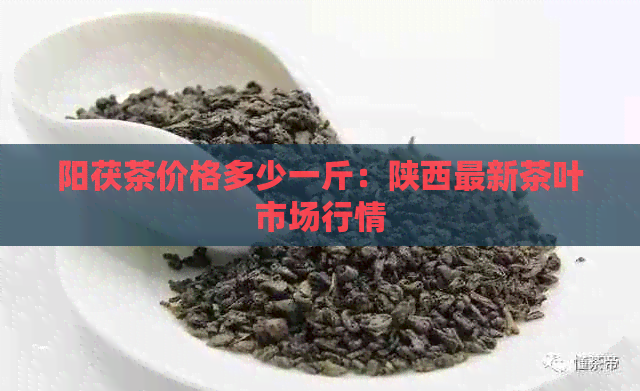 阳茯茶价格多少一斤：陕西最新茶叶市场行情