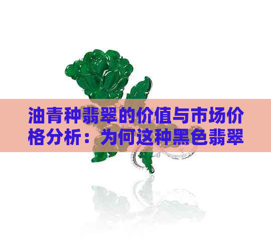 油青种翡翠的价值与市场价格分析：为何这种黑色翡翠如此受欢迎？