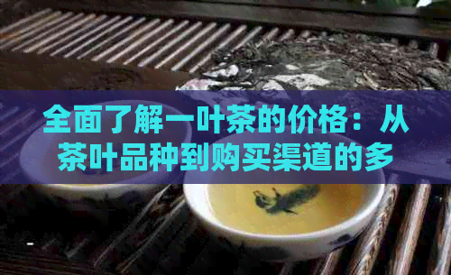 全面了解一叶茶的价格：从茶叶品种到购买渠道的多种可能性