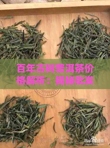 百年古树普洱茶价格解析：揭秘批发与零售之间的差异