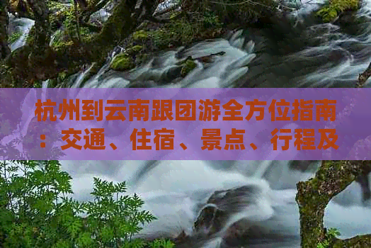 杭州到云南跟团游全方位指南：交通、住宿、景点、行程及费用全解析