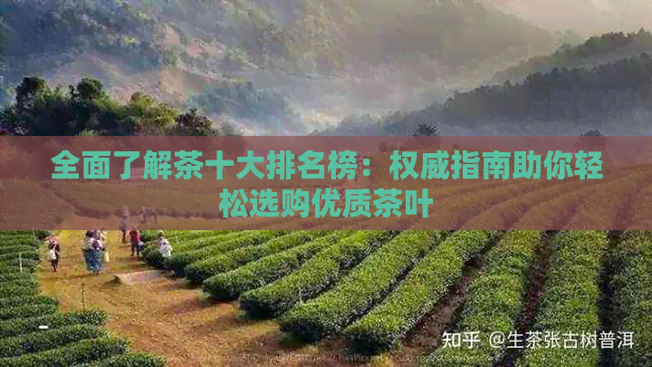 全面了解茶十大排名榜：权威指南助你轻松选购优质茶叶