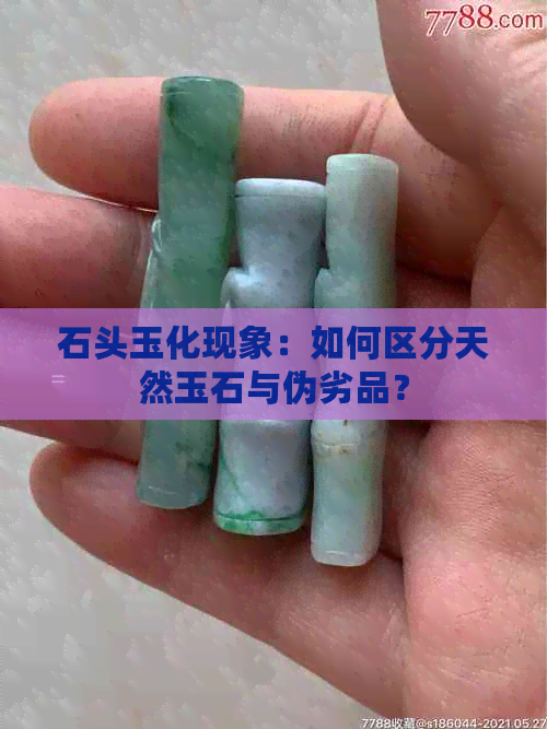 石头玉化现象：如何区分天然玉石与伪劣品？