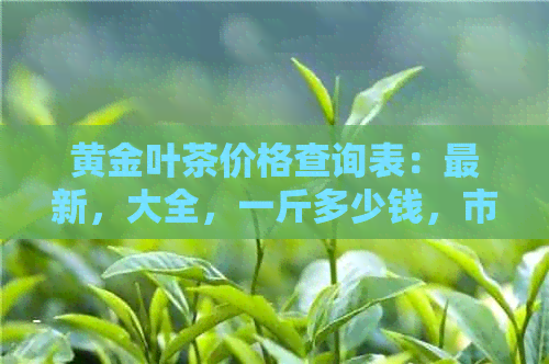 黄金叶茶价格查询表：最新，大全，一斤多少钱，市面价格