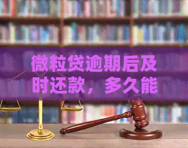 微粒贷逾期后及时还款，多久能消除对信用记录的影响？