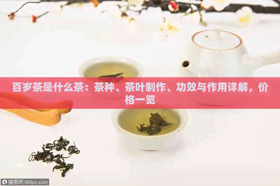 百岁茶是什么茶：茶种、茶叶制作、功效与作用详解，价格一览