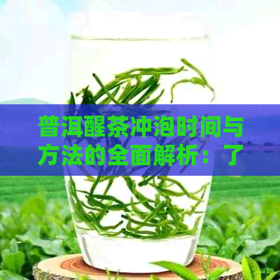 普洱醒茶冲泡时间与方法的全面解析：了解醒茶过程以获得口感