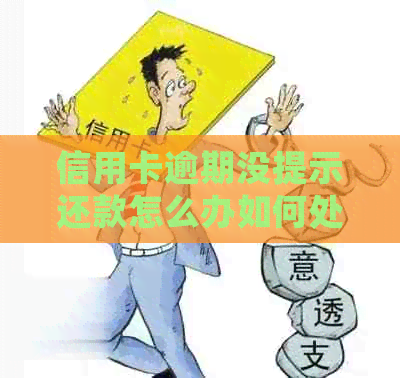 信用卡逾期没提示还款怎么办如何处理？