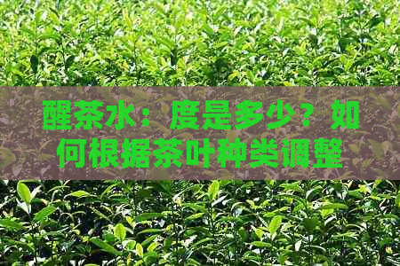 醒茶水：度是多少？如何根据茶叶种类调整？