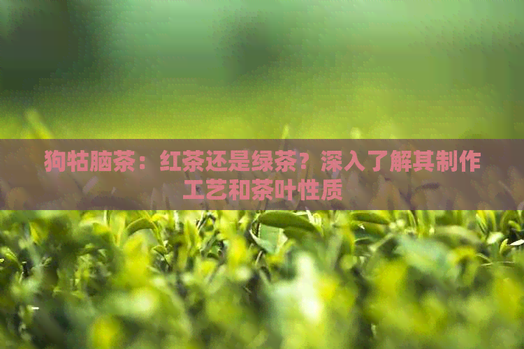 狗牯脑茶：红茶还是绿茶？深入了解其制作工艺和茶叶性质