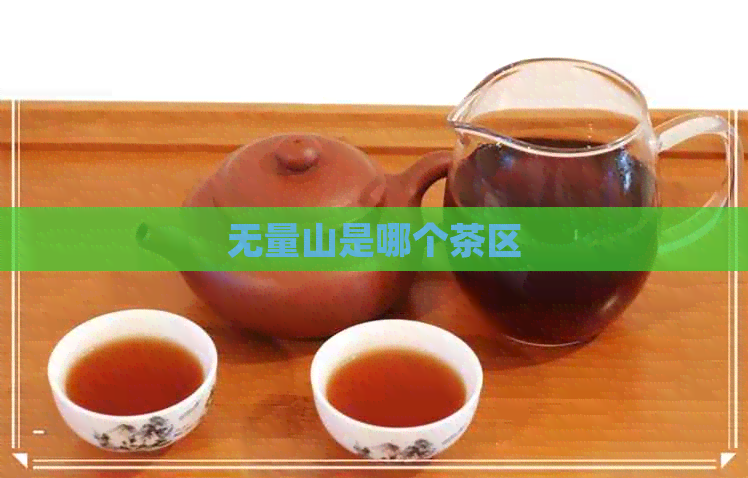 无量山是哪个茶区