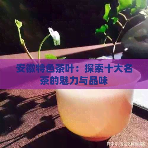 安徽特色茶叶：探索十大名茶的魅力与品味