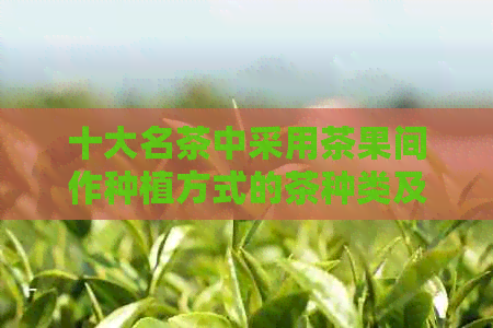 十大名茶中采用茶果间作种植方式的茶种类及其特点