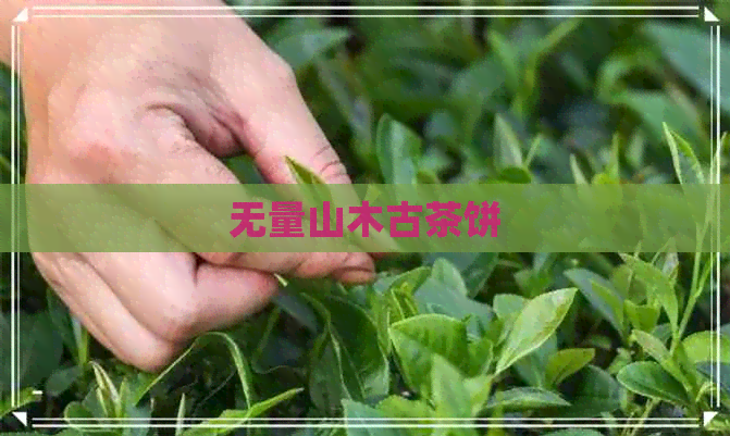 无量山木古茶饼