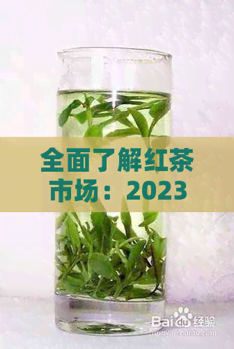 全面了解红茶市场：2023年更具影响力的十大红茶排行榜