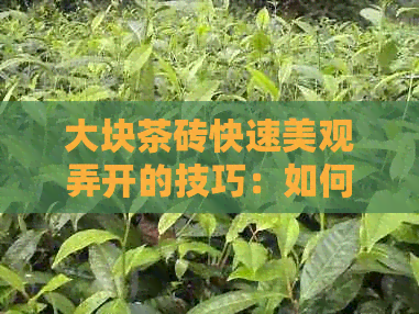 大块茶砖快速美观弄开的技巧：如何取出茶砖