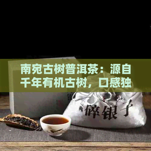 南宛古树普洱茶：源自千年有机古树，口感独特的生茶之选