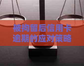 被拘留后信用卡逾期的应对策略：怎么办？