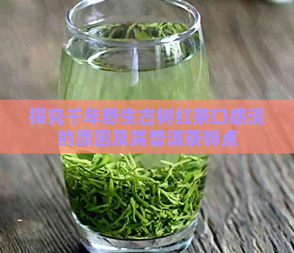 探究千年野生古树红茶口感淡的原因及其普洱茶特点