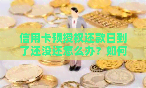 信用卡预授权还款日到了还没还怎么办？如何避免逾期和额外费用？