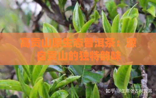 高贡山原生态普洱茶：源自贡山的独特韵味