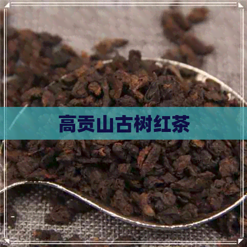 高贡山古树红茶