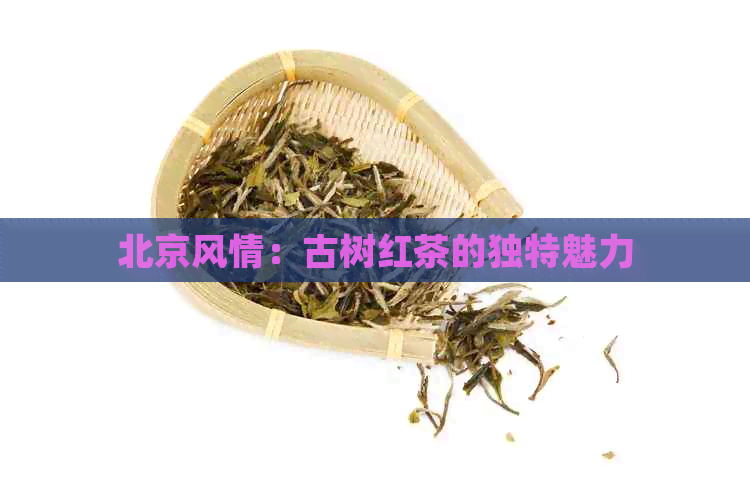 北京风情：古树红茶的独特魅力