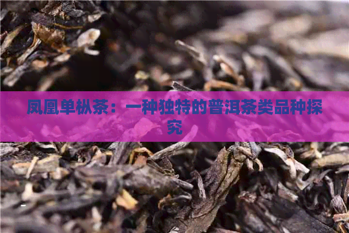 凤凰单枞茶：一种独特的普洱茶类品种探究