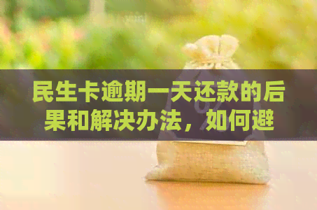 民生卡逾期一天还款的后果和解决办法，如何避免逾期影响信用评分？