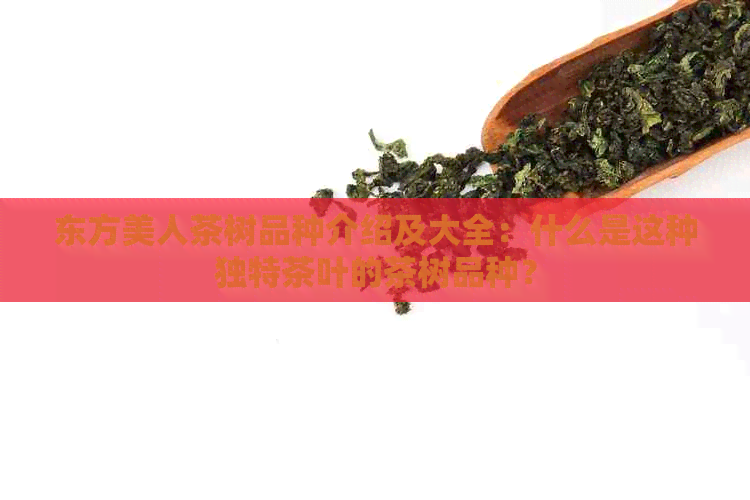 东方美人茶树品种介绍及大全：什么是这种独特茶叶的茶树品种？