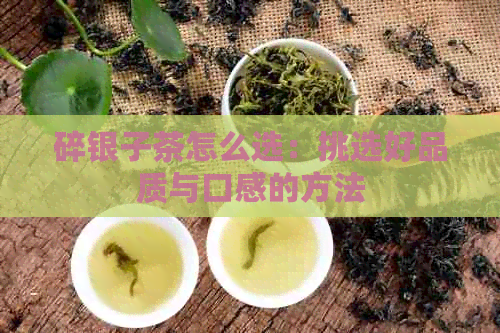 碎银子茶怎么选：挑选好品质与口感的方法