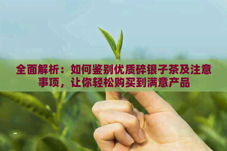 全面解析：如何鉴别优质碎银子茶及注意事项，让你轻松购买到满意产品