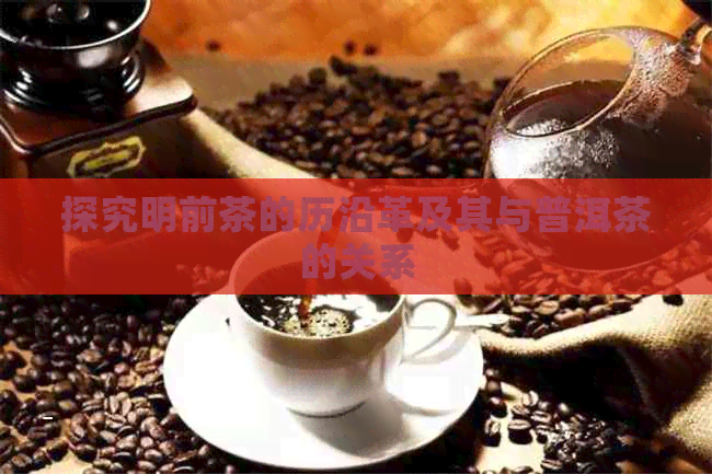 探究明前茶的历沿革及其与普洱茶的关系