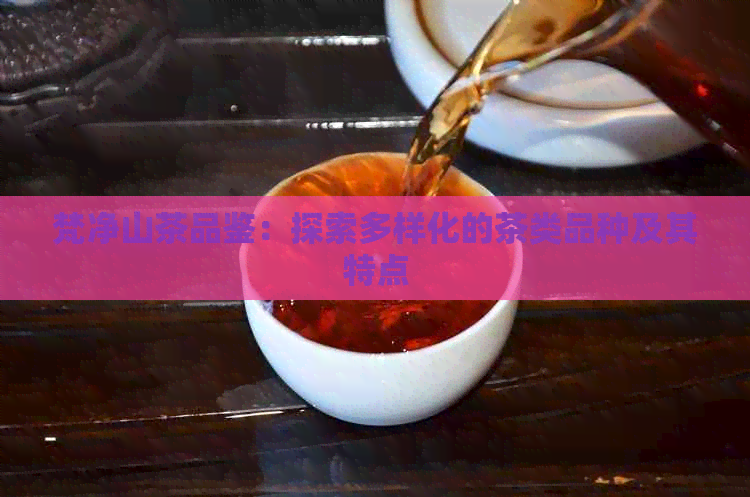 梵净山茶品鉴：探索多样化的茶类品种及其特点