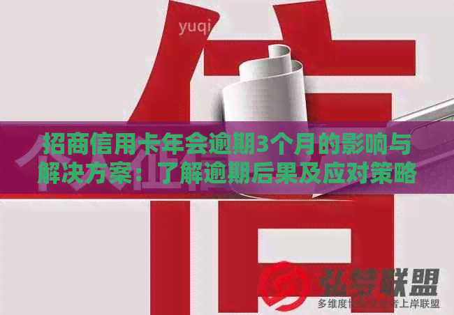 招商信用卡年会逾期3个月的影响与解决方案：了解逾期后果及应对策略