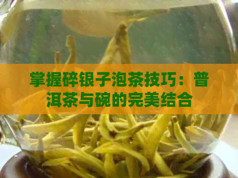 掌握碎银子泡茶技巧：普洱茶与碗的完美结合