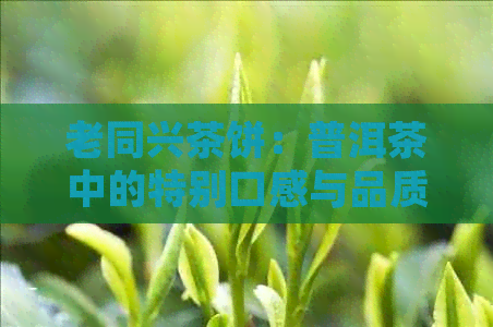 老同兴茶饼：普洱茶中的特别口感与品质，值得一试的价格好茶饼