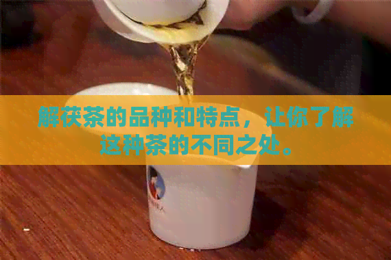 解茯茶的品种和特点，让你了解这种茶的不同之处。