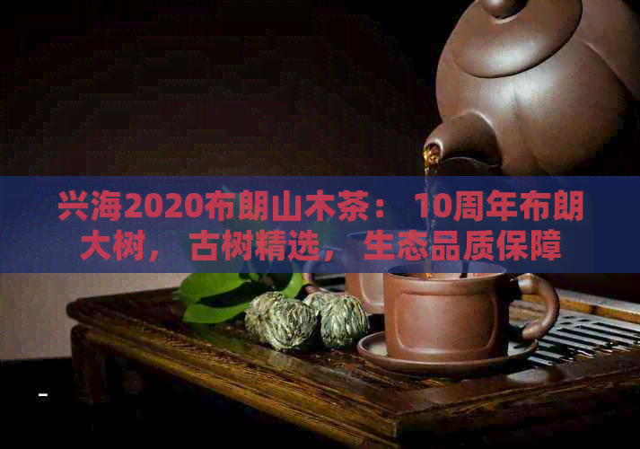 兴海2020布朗山木茶： 10周年布朗大树， 古树精选， 生态品质保障