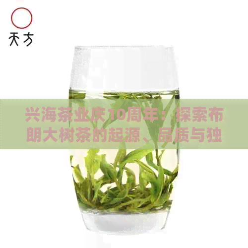 兴海茶业庆10周年：探索布朗大树茶的起源、品质与独特风味