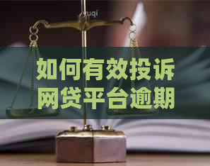 如何有效投诉网贷平台逾期费过高问题，以保护用户权益？