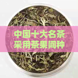 中国十大名茶采用茶果间种的方式是什么茶？