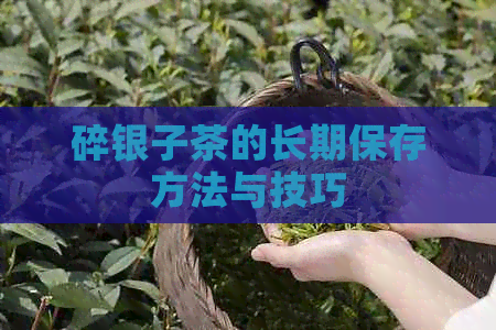 碎银子茶的长期保存方法与技巧