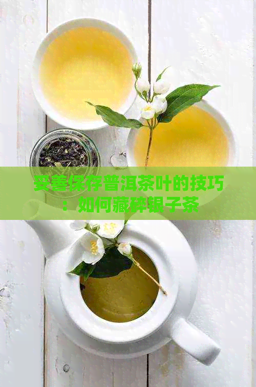 妥善保存普洱茶叶的技巧：如何藏碎银子茶