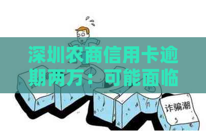 深圳农商信用卡逾期两万：可能面临的法律后果与应对策略