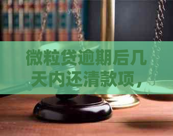 微粒贷逾期后几天内还清款项，是否可以继续正常使用？