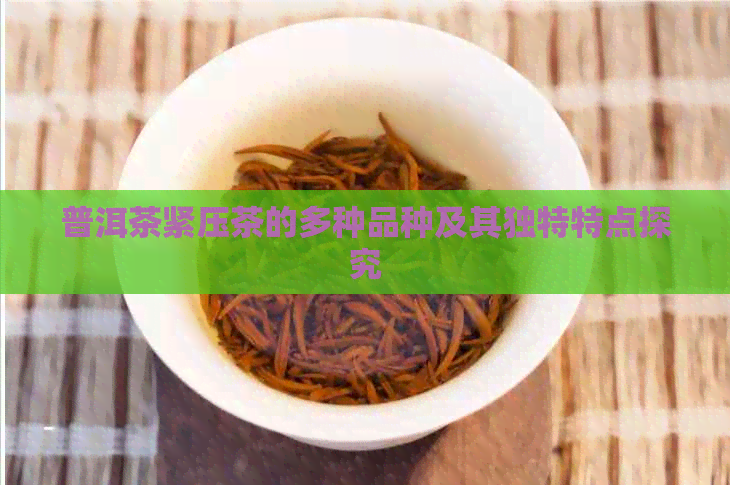 普洱茶紧压茶的多种品种及其独特特点探究