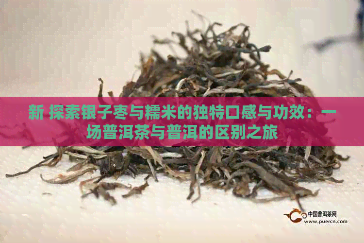 新 探索银子枣与糯米的独特口感与功效：一场普洱茶与普洱的区别之旅